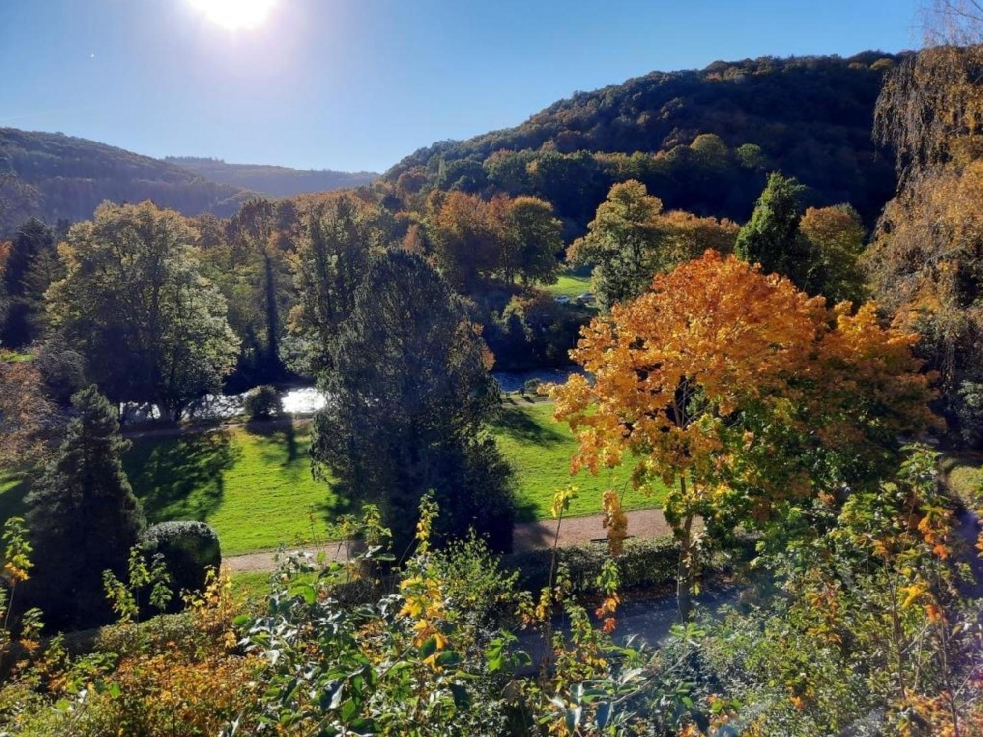 Ferienhaus &#039Freund Am See&#039 3 Heimbach Exterior foto